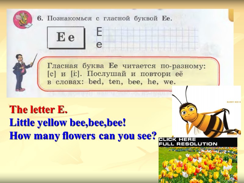 The letter E. Little yellow bee,bee,bee! How many flowers can you see?